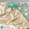 image:imageZIMASILK 100 22 Momme Pure Mulberry Silk Cervical Pillow Case Ivory  Soft Silk Pillow Cover for Hair amp Skin  Hidden Zipper  for Side Back Sleepers Pillowcase Only 1pcBeige