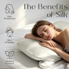 image:imageZIMASILK 100 22 Momme Pure Mulberry Silk Cervical Pillow Case Ivory  Soft Silk Pillow Cover for Hair amp Skin  Hidden Zipper  for Side Back Sleepers Pillowcase Only 1pcIvory