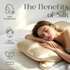 image:imageZIMASILK 100 22 Momme Pure Mulberry Silk Cervical Pillow Case Ivory  Soft Silk Pillow Cover for Hair amp Skin  Hidden Zipper  for Side Back Sleepers Pillowcase Only 1pcBeige