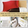image:imageZIMASILK 100 Pure Mulberry Silk Pillow Cases for Hair and Skin Queen  Soft Hypoallergenic amp Smooth Both Sides Grade 6A Silk Hidden Zipper Gift for Women Men 1pc Queen 20x30 TaupeIvory White Pair