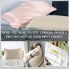 image:imageZIMASILK 100 Pure Mulberry Silk Pillow Cases for Hair and Skin Queen  Soft Hypoallergenic amp Smooth Both Sides Grade 6A Silk Hidden Zipper Gift for Women Men 1pc Queen 20x30 TaupeBeige Pair