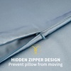 image:imageZIMASILK 100 Pure Mulberry Silk Pillow Cases for Hair and Skin Queen  Soft Hypoallergenic amp Smooth Both Sides Grade 6A Silk Hidden Zipper Gift for Women Men 1pc Queen 20x30 TaupeDusty Blue