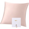 image:imageZIMASILK 100 Pure Mulberry Silk Pillow Cases for Hair and Skin Queen  Soft Hypoallergenic amp Smooth Both Sides Grade 6A Silk Hidden Zipper Gift for Women Men 1pc Queen 20x30 TaupePink
