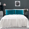 image:imageZIMASILK 100 Pure Mulberry Silk Pillow Cases for Hair and Skin Queen  Soft Hypoallergenic amp Smooth Both Sides Grade 6A Silk Hidden Zipper Gift for Women Men 1pc Queen 20x30 TaupeTurquoise