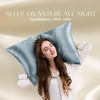 image:imageZIMASILK 100 Pure Mulberry Silk Pillow Cases for Hair and Skin Queen  Soft Hypoallergenic amp Smooth Both Sides Grade 6A Silk Hidden Zipper Gift for Women Men 1pc Queen 20x30 TaupeDusty Blue