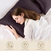 image:imageZIMASILK 100 Pure Mulberry Silk Pillow Cases for Hair and Skin Queen  Soft Hypoallergenic amp Smooth Both Sides Grade 6A Silk Hidden Zipper Gift for Women Men 1pc Queen 20x30 TaupeEggplant Purple