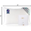 image:imageZIMASILK 100 Pure Mulberry Silk Pillow Cases for Hair and Skin Queen  Soft Hypoallergenic amp Smooth Both Sides Grade 6A Silk Hidden Zipper Gift for Women Men 1pc Queen 20x30 TaupeWhite