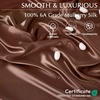 image:imageZIMASILK 19 Momme 100 Pure Mulberry Silk Bed Sheets  4Piece Sheet Set for Sleeping  Soft Breathable amp Hypoallergenic for a Comfortable Sleep  Queen Gray Light Brown