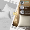 image:imageZIMASILK 25 Momme 100 Pure Mulberry Silk Pillow Cases Iron Gray Standard  Natural Silk Highest Grade 6A Hair and Skin Care Thick amp Soft Gift for Women Men 1pc Standard 20x26Ivory