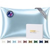 image:imageZIMASILK 25 Momme 100 Pure Mulberry Silk Pillow Cases Iron Gray Standard  Natural Silk Highest Grade 6A Hair and Skin Care Thick amp Soft Gift for Women Men 1pc Standard 20x26Light Blue